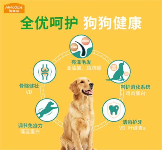 狗粮超高性价比推荐，给汪星人科学喂养