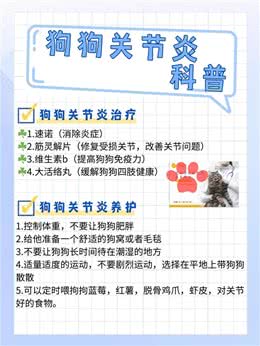 你知道狗狗关节炎吗?不知道快来看
