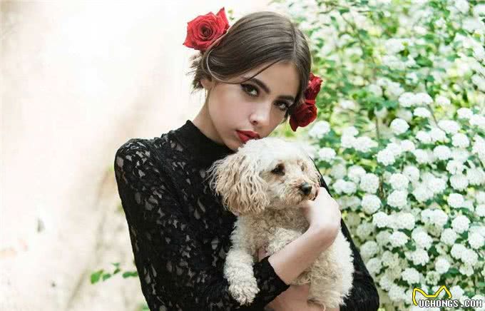 可爱如动物系的玩具贵宾女孩子，跟她们谈恋爱是最美好的