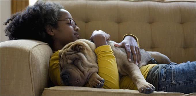 这种犬是世界稀有犬种，正慢慢的消失在人们的视线中!