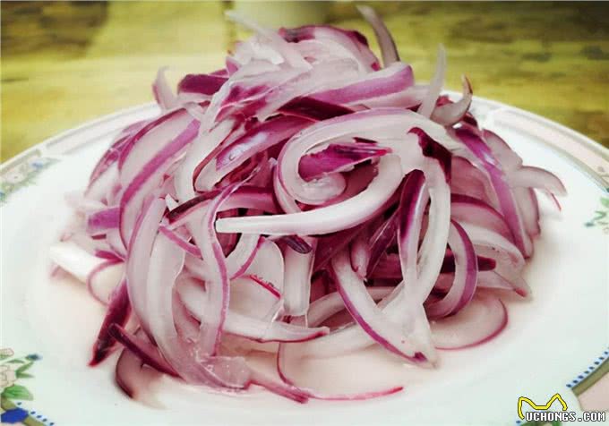 养狗心得:狗狗呕吐黄色沫沫?是什么原因引起的?