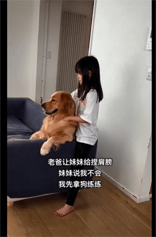 妹妹不会捏肩膀先找狗狗试练，没想到它还上瘾了，不捏就一直叫唤