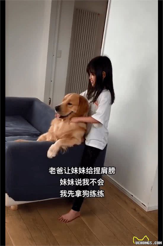 妹妹不会捏肩膀先找狗狗试练，没想到它还上瘾了，不捏就一直叫唤