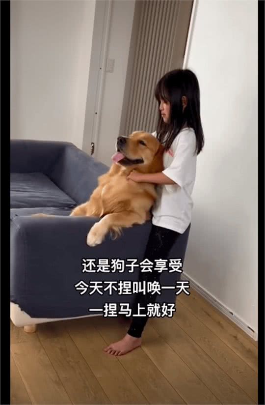 妹妹不会捏肩膀先找狗狗试练，没想到它还上瘾了，不捏就一直叫唤