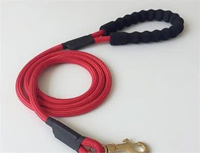 遛狗一定要拴绳!那么,牵引绳你选对了吗?