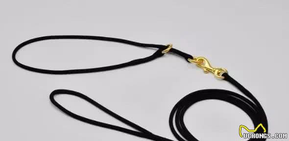 遛狗一定要拴绳!那么,牵引绳你选对了吗?