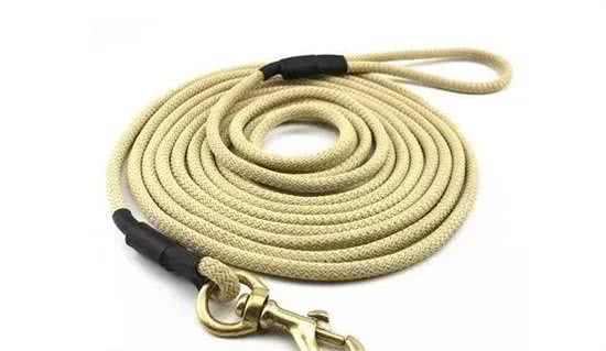 遛狗一定要拴绳!那么,牵引绳你选对了吗?