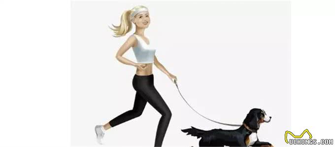 遛狗一定要拴绳!那么,牵引绳你选对了吗?