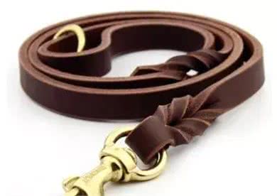 遛狗一定要拴绳!那么,牵引绳你选对了吗?