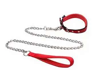 遛狗一定要拴绳!那么,牵引绳你选对了吗?