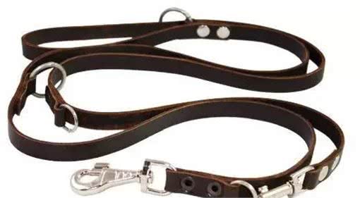 遛狗一定要拴绳!那么,牵引绳你选对了吗?