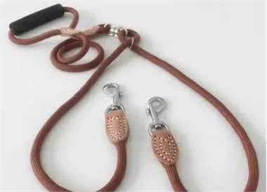 遛狗一定要拴绳!那么,牵引绳你选对了吗?