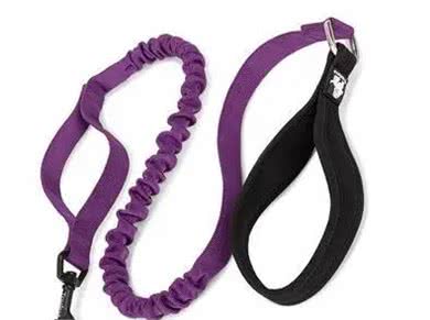 遛狗一定要拴绳!那么,牵引绳你选对了吗?