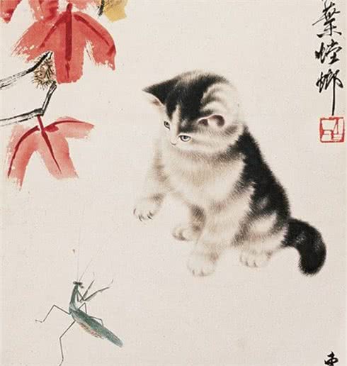 别再叫它们土猫了,人家优雅着呢