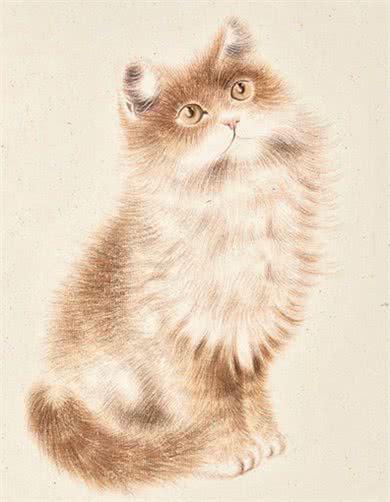 别再叫它们土猫了,人家优雅着呢