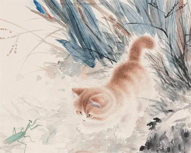 别再叫它们土猫了,人家优雅着呢