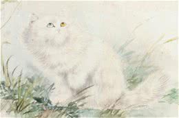 别再叫它们土猫了，人家优雅着呢