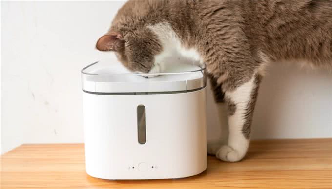 自从养了宠物之后，才知道家里备上这些东西，真的太有必要了