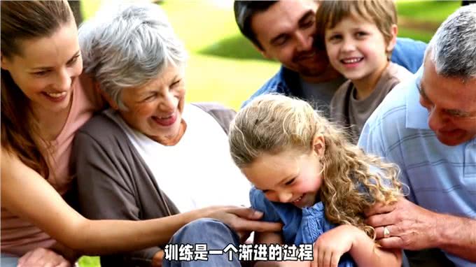 让你的狗狗成为最棒的宠物!选择最佳时机进行训练—dou上热门