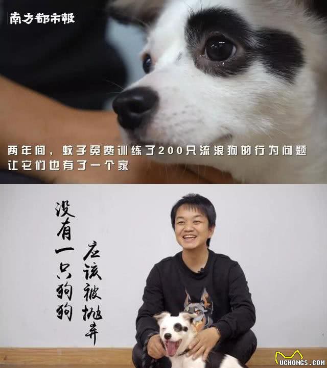 狗狗怕洗澡还护食咬人，要怎么纠正?