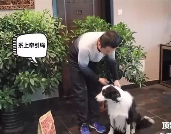 训狗:AWI中国区飞盘冠军训导师教你2招轻松搞定狗狗乱吃!