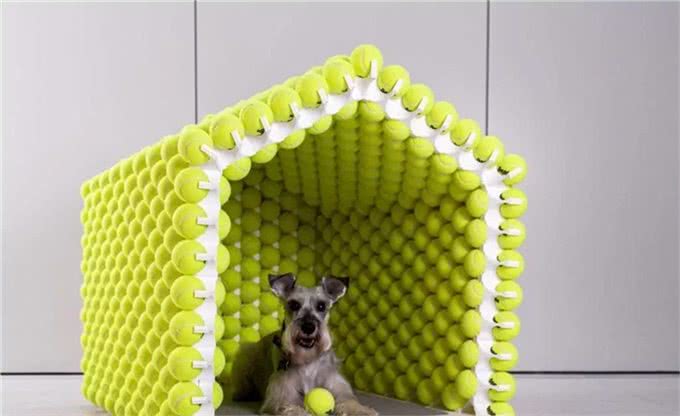 创意无限的小狗屋舍