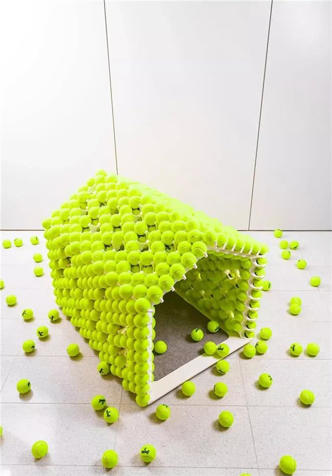 创意无限的小狗屋舍