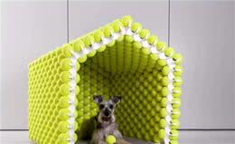 创意无限的小狗屋舍