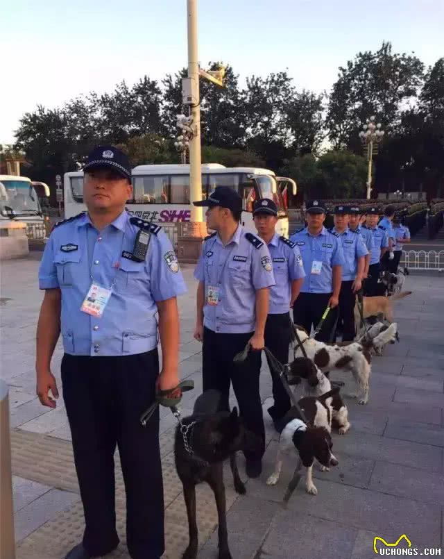 警犬克拉达的三生三世