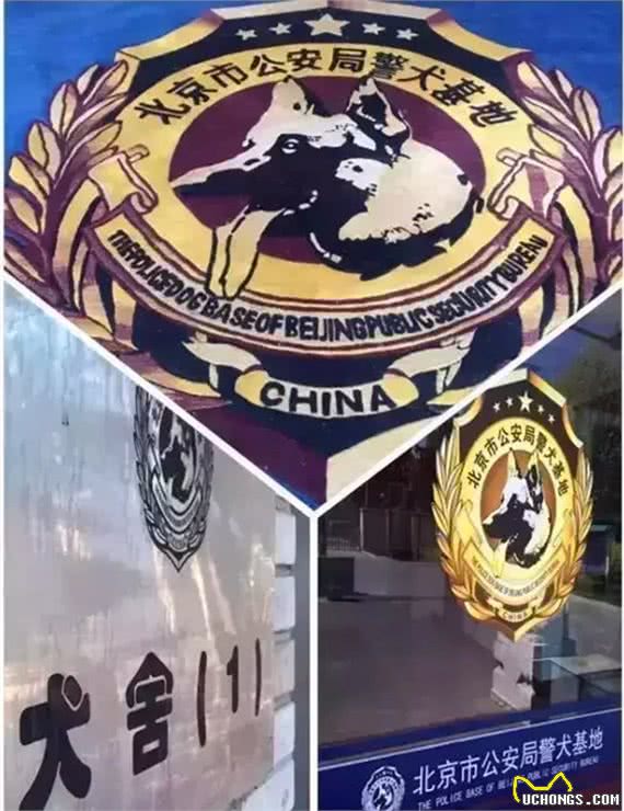 警犬克拉达的三生三世