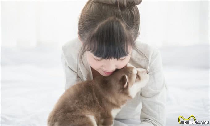 狗子家庭地位为什么比你高?是他小小年纪就学会了这些你知道吗