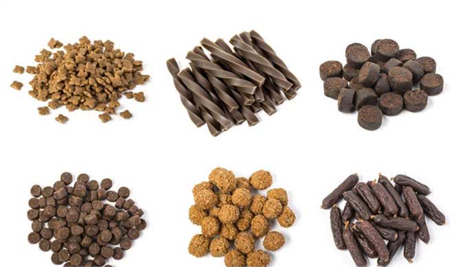 到底要不要一种狗粮吃到底?发愁如何换粮的铲屎官赶紧来看看!