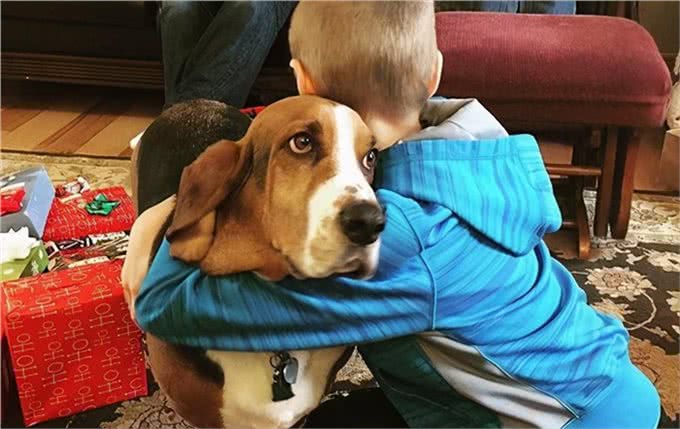 狗狗被抱住，在它眼中，有这些意思