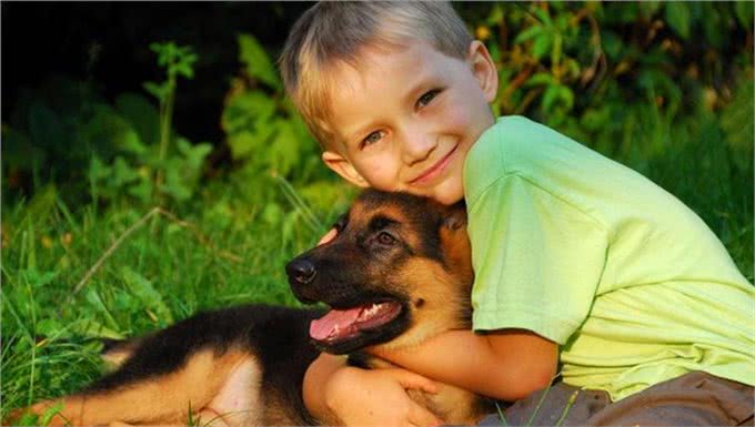 狗狗被抱住，在它眼中，有这些意思