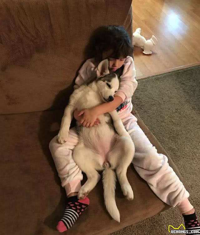 狗狗被抱住，在它眼中，有这些意思