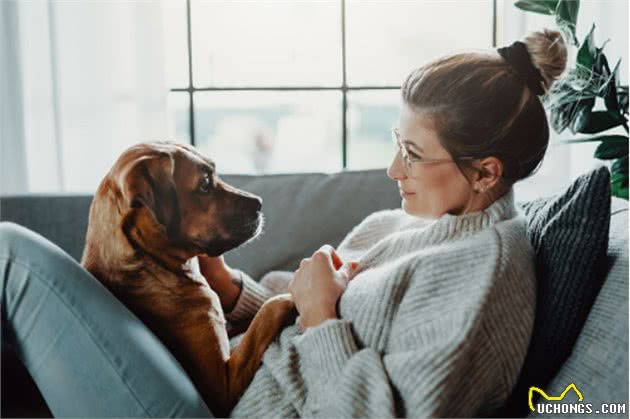 狗狗身体出现疼痛会有哪些症状?