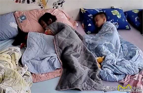 狗狗守着玩具做缝合手术，看似担心，实则是馋了，表情笑喷