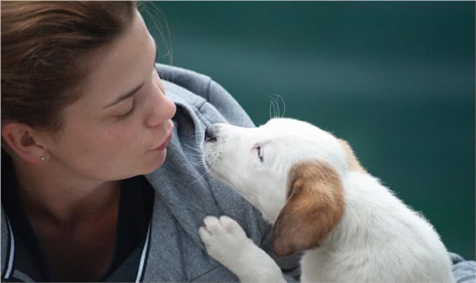 狗狗的健康检查，7个步骤简单上手，在家就能做