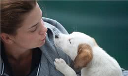 狗狗的健康检查，7个步骤简单上手，在家就能做