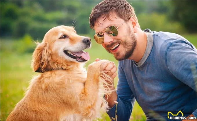 你真的了解汪吗?6条狗狗身上的冷知识，很少人知道