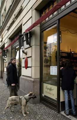 养狗最重要的不是钱，这个学历证了解一下!|德国制造Part2