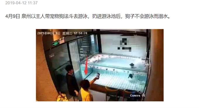 原来狗狗不是天生会游泳!想不到是这样