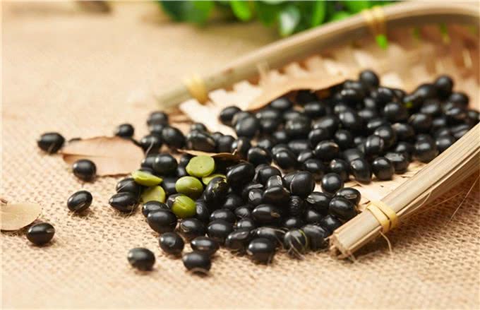 茶杯泰迪走路抬后腿