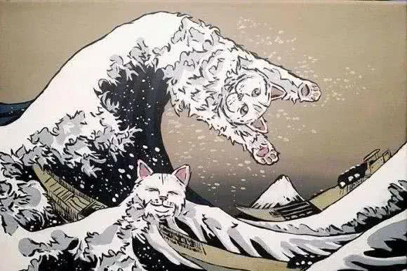 猫咪品种大盘点9:土耳其安哥拉猫