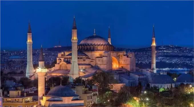 猫咪品种大盘点9:土耳其安哥拉猫