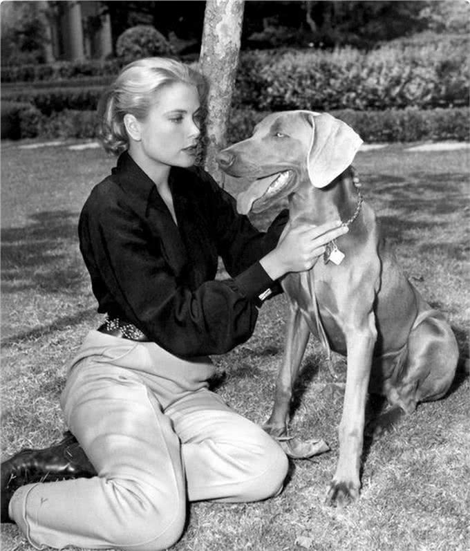 只有德国人才知晓的猛犬，已被封尘百年，如今掀开神秘面纱