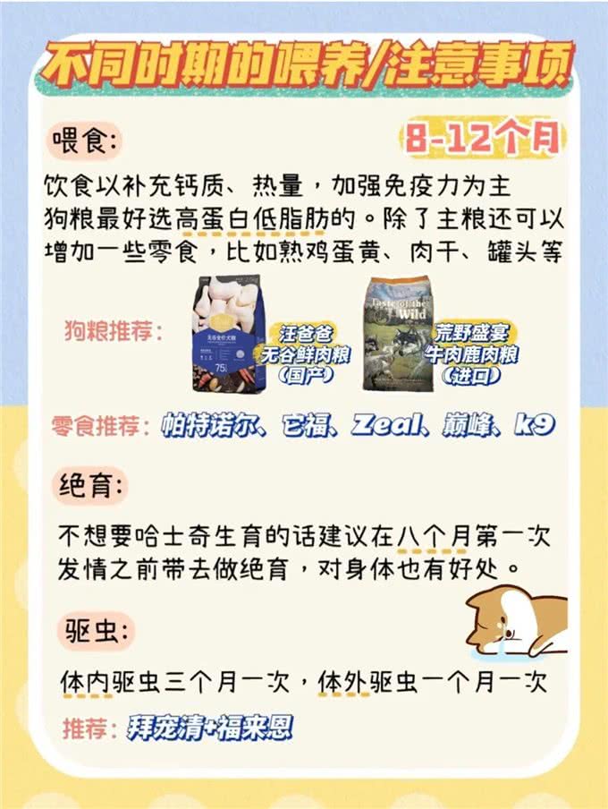 超详细哈士奇不同时期喂养手册