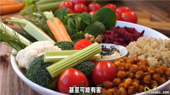 狗狗为什么会吃便便—新手养狗