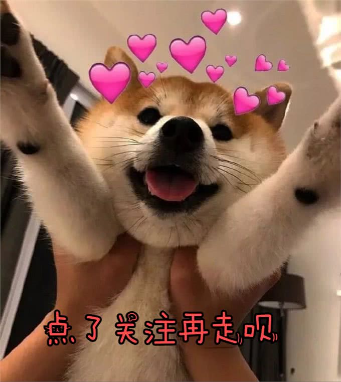 狗狗缺钙很危险，铲屎官还不注意就晚了!