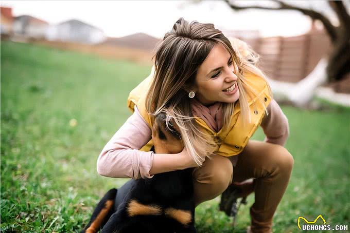 狗狗一生的6大愿望，你有帮它实现吗?